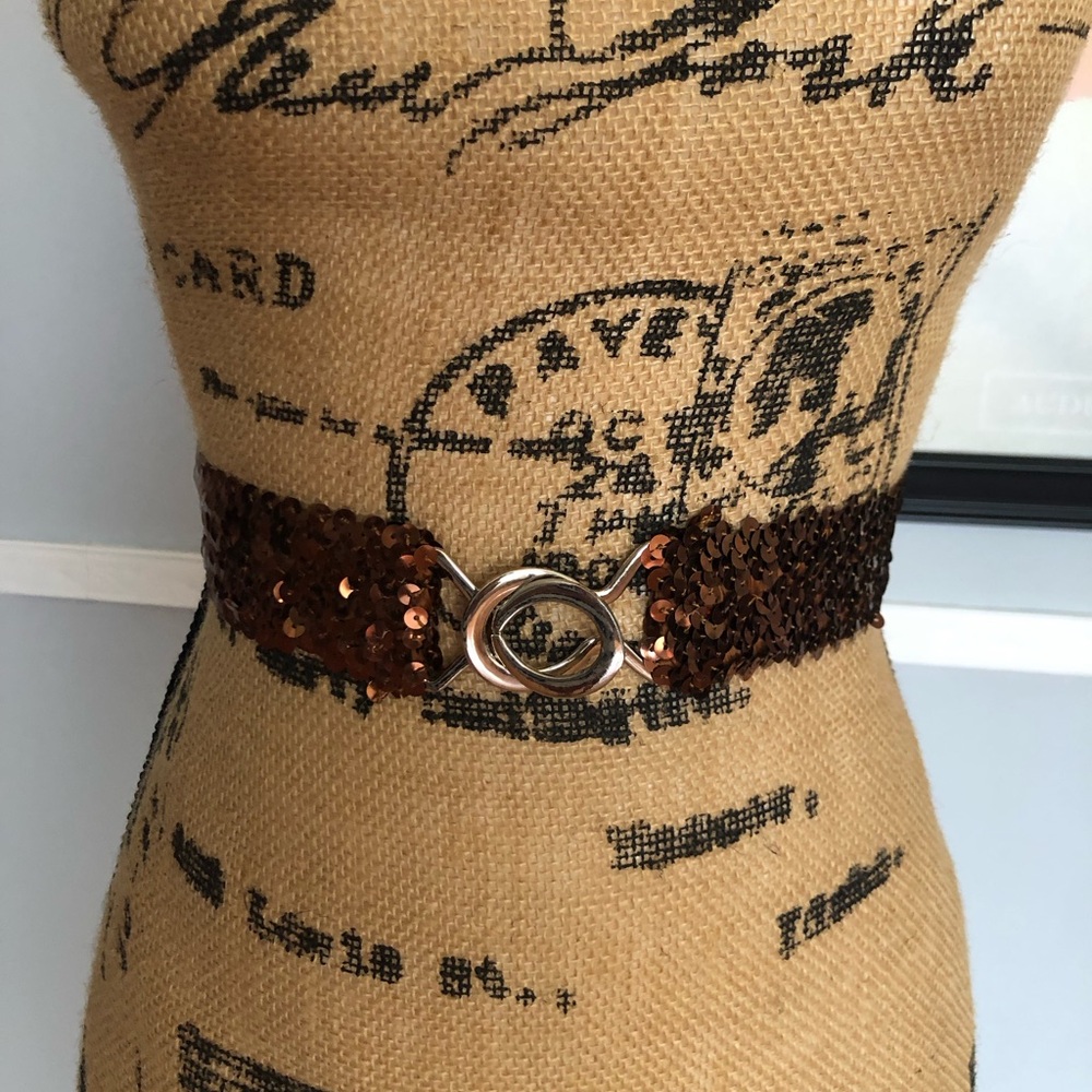 🤎NEW Sequin Brown Stretch Belt with Silver Buckle🤎